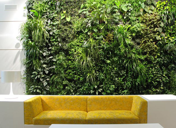 Casa green