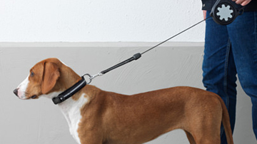 Ikea guinzaglio per cani
