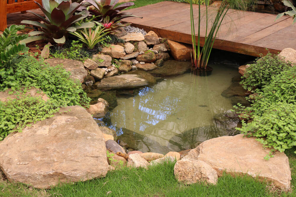 Scopri di più sull'articolo Come fare un laghetto ornamentale per il giardino