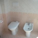 mattonelle bagno