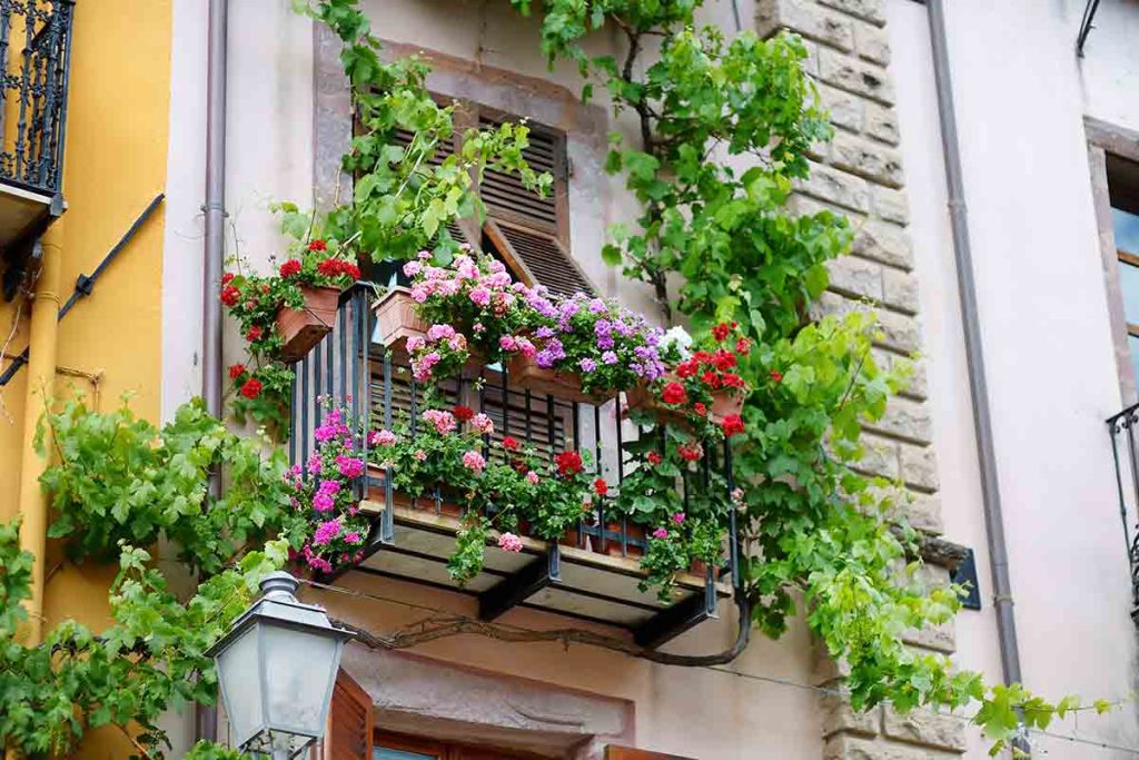 Orto verticale piante balcone