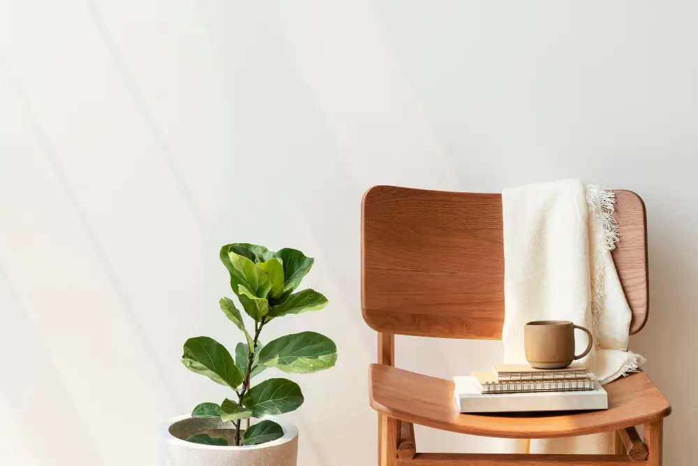 tendenza arredamento 2024